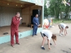 Смотреть...